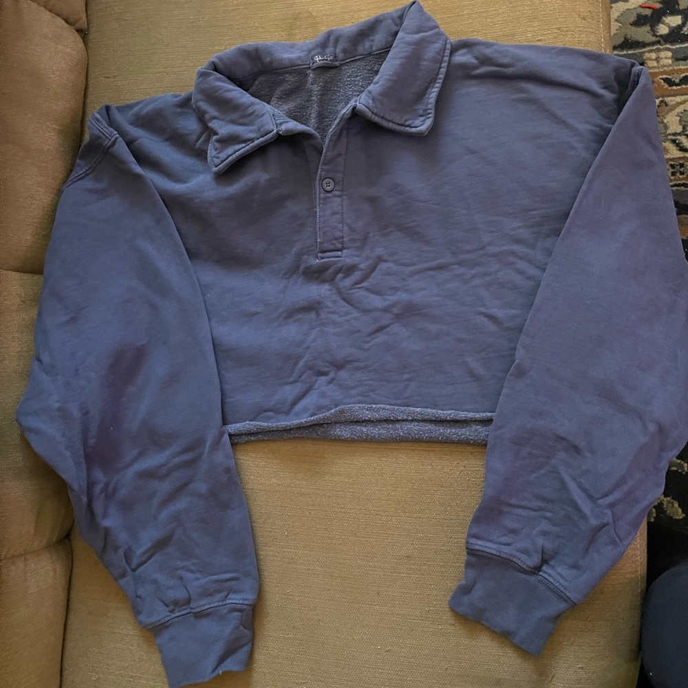 John Galt (Brandy Melville) cropped half button sweatshirt